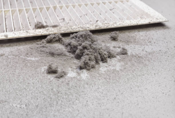 Best Ductwork Cleaning Services  in Bardstown, KY